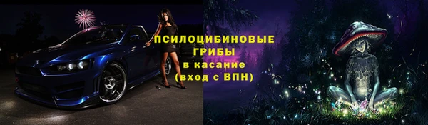 дурь Алексин
