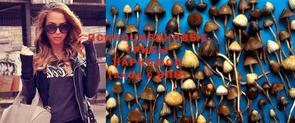 дурь Алексин