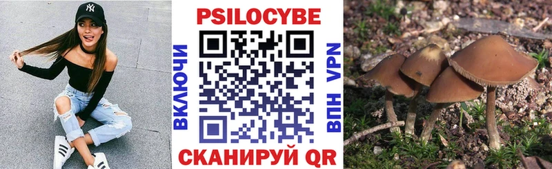 Псилоцибиновые грибы Psilocybe  где найти   MEGA рабочий сайт  Бабаево 